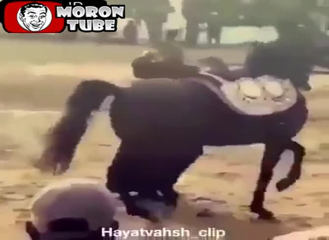 Video: A diver makes a mistaken dive2